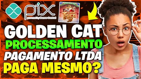 golden cat processamento de pagamento ltda jogo - Golden CAT Processamento de Pagamento LTDA 